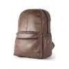 LBBCGS301-BR - LAPTOP BACK BAG CLEVER - Angle (1)