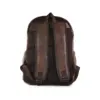 LBBCGS301-BR - LAPTOP BACK BAG CLEVER - Back